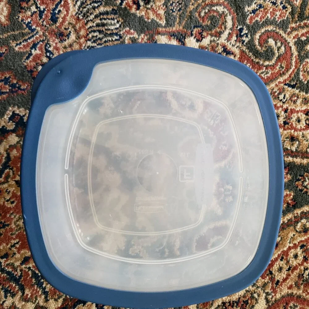 Lot of 5 Food Storage Containers with lids - Various sizes - Picture 10 of 15